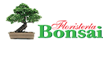 bonsai-floristeria